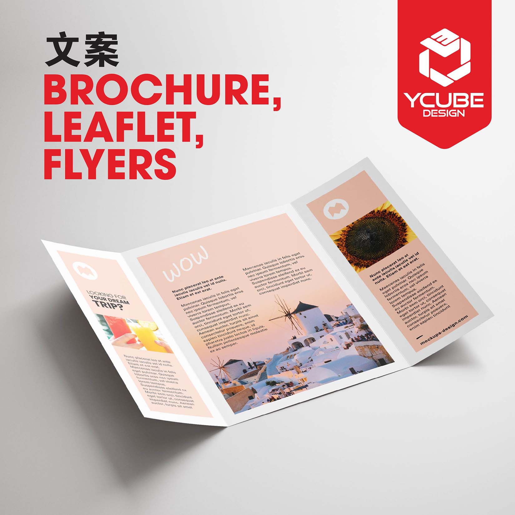 Professional copywriting in johor